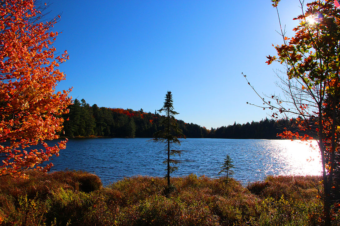 Kanada Algonquin Park